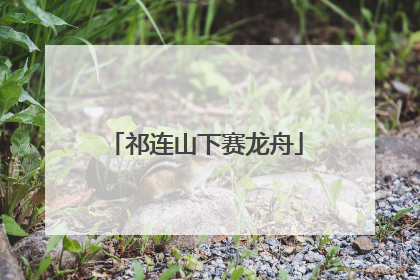 祁连山下赛龙舟