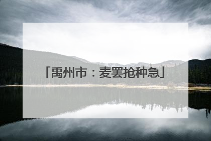 禹州市：麦罢抢种急