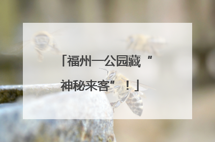 福州一公园藏“神秘来客”！