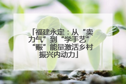 福建永定：从“卖力气”到“学手艺”“赈”能量激活乡村振兴内动力