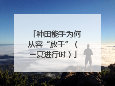 种田能手为何从容“放手”（三夏进行时）