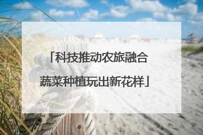 科技推动农旅融合 蔬菜种植玩出新花样