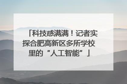 科技感满满！记者实探合肥高新区多所学校里的“人工智能”
