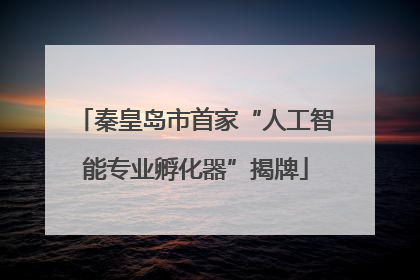 秦皇岛市首家“人工智能专业孵化器”揭牌