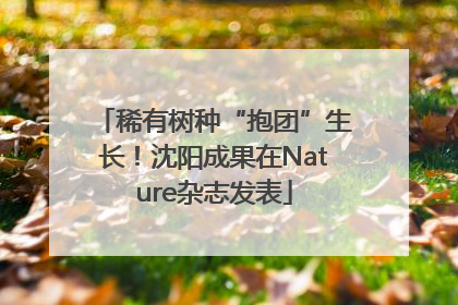稀有树种“抱团”生长！沈阳成果在Nature杂志发表