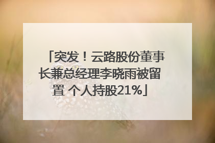 突发！云路股份董事长兼总经理李晓雨被留置 个人持股21%