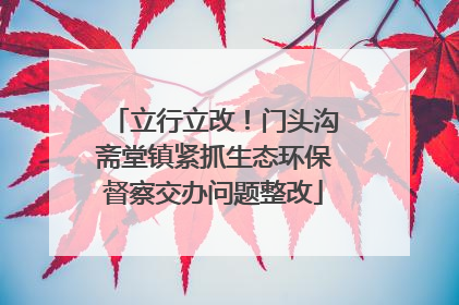 立行立改！门头沟斋堂镇紧抓生态环保督察交办问题整改