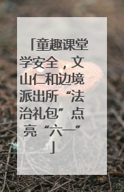 童趣课堂学安全，文山仁和边境派出所“法治礼包”点亮“六一”