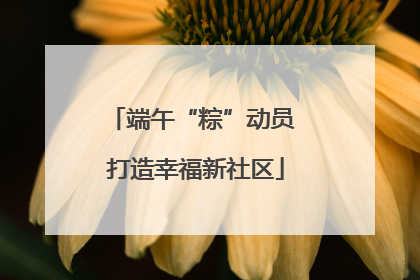 端午“粽”动员 打造幸福新社区