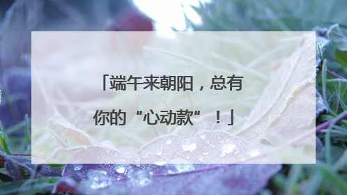 端午来朝阳，总有你的“心动款”！