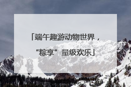 端午趣游动物世界，“粽享”量级欢乐