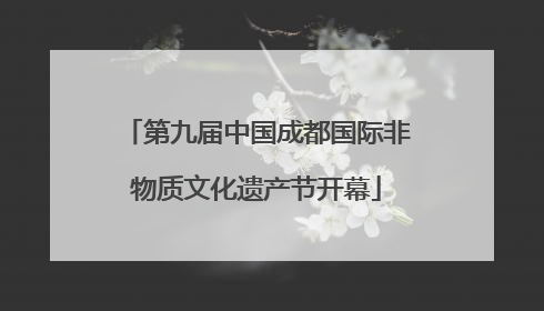 第九届中国成都国际非物质文化遗产节开幕