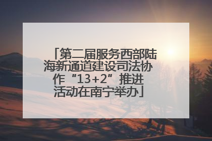 第二届服务西部陆海新通道建设司法协作“13+2”推进活动在南宁举办