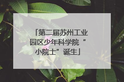 第二届苏州工业园区少年科学院“小院士”诞生