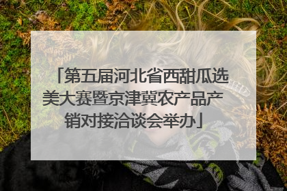 第五届河北省西甜瓜选美大赛暨京津冀农产品产销对接洽谈会举办