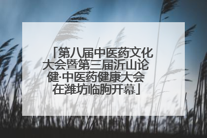 第八届中医药文化大会暨第三届沂山论健·中医药健康大会在潍坊临朐开幕