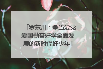 罗东川：争当爱党爱国勤奋好学全面发展的新时代好少年