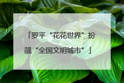 罗平“花花世界”扮靓“全国文明城市”