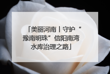 美丽河南丨守护“豫南明珠”信阳南湾水库治理之路