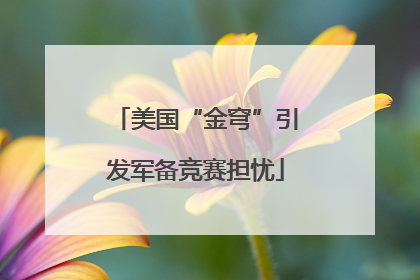 美国“金穹”引发军备竞赛担忧