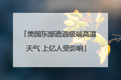美国东部遭遇极端高温天气 上亿人受影响