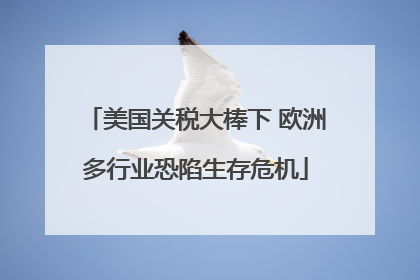 美国关税大棒下 欧洲多行业恐陷生存危机