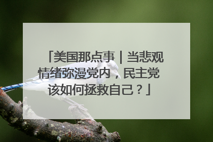 美国那点事｜当悲观情绪弥漫党内，民主党该如何拯救自己？