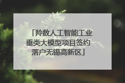 羚数人工智能工业垂类大模型项目签约落户无锡高新区