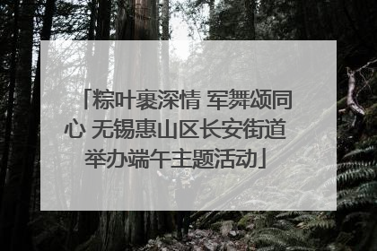 粽叶裹深情 军舞颂同心 无锡惠山区长安街道举办端午主题活动