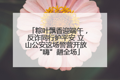粽叶飘香迎端午，反诈同行护平安 立山公安这场警营开放“嗨”翻全场