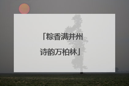 粽香满并州 诗韵万柏林