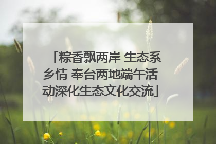 粽香飘两岸 生态系乡情 奉台两地端午活动深化生态文化交流