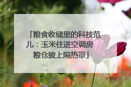 粮食收储里的科技范儿：玉米住进空调房 粮仓披上隔热罩
