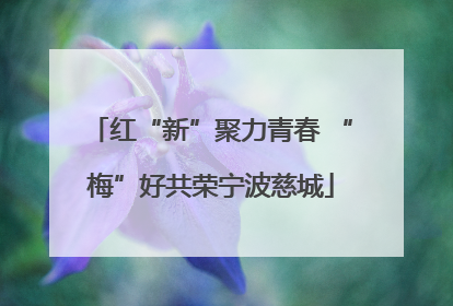 红“新”聚力青春 “梅”好共荣宁波慈城