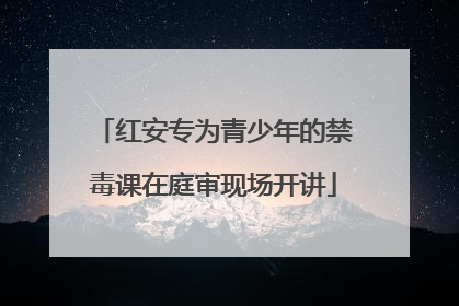 红安专为青少年的禁毒课在庭审现场开讲