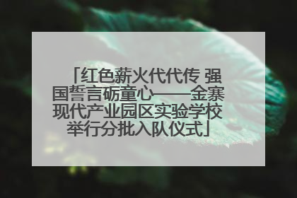 红色薪火代代传 强国誓言砺童心——金寨现代产业园区实验学校举行分批入队仪式