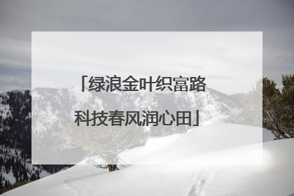绿浪金叶织富路 科技春风润心田