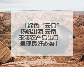 绿色“云品”扬帆出海 云南玉溪农产品出口呈现良好态势