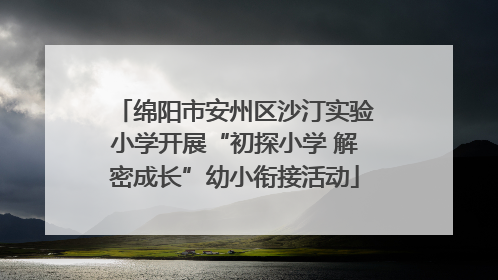 绵阳市安州区沙汀实验小学开展“初探小学 解密成长”幼小衔接活动
