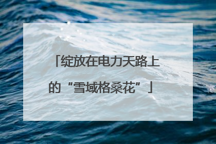 绽放在电力天路上的“雪域格桑花”