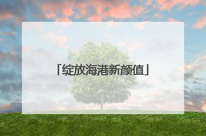 绽放海港新颜值