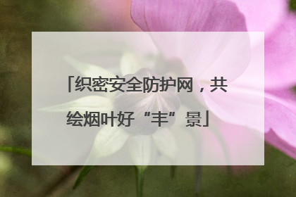 织密安全防护网，共绘烟叶好“丰”景
