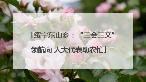 绥宁东山乡：“三会三文”领航向 人大代表助农忙