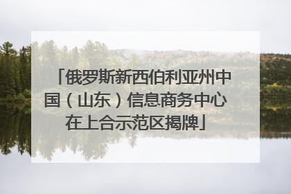俄罗斯新西伯利亚州中国（山东）信息商务中心在上合示范区揭牌