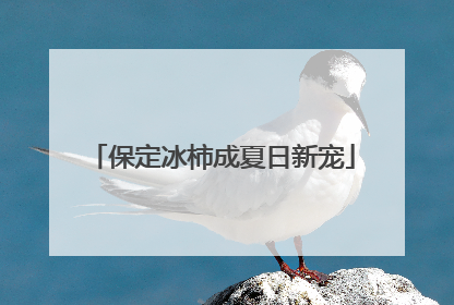 保定冰柿成夏日新宠