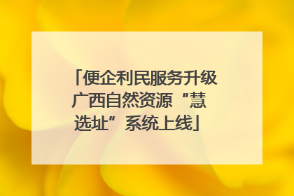 便企利民服务升级 广西自然资源“慧选址”系统上线