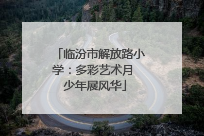 临汾市解放路小学：多彩艺术月 少年展风华