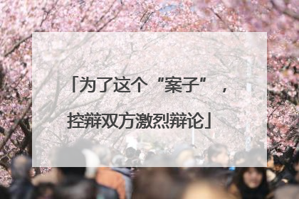 为了这个“案子”，控辩双方激烈辩论