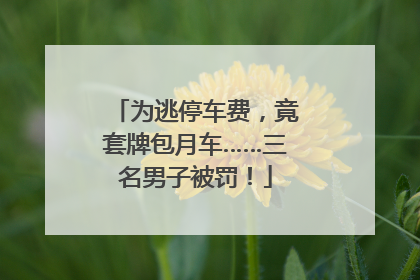 为逃停车费，竟套牌包月车……三名男子被罚！