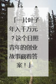 一片叶子年入千万元？这个日照青年的创业故事藏着答案！